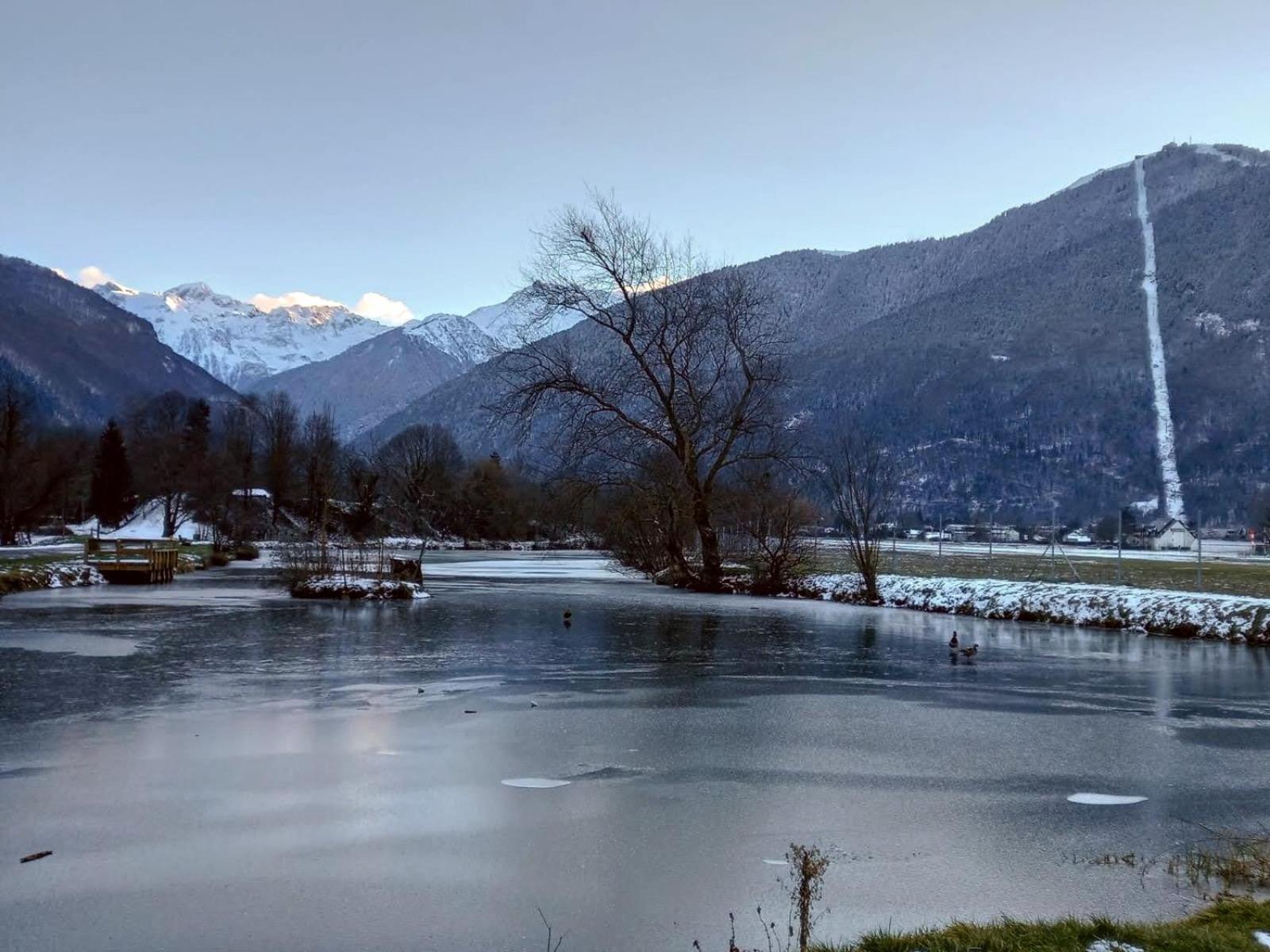 Le 102, T3 Pour 5 Personnes, Vue Montagne, Classe 2 Etoiles Nf, Parking, Piscine En Ete Bagnères-de-Luchon Exterior foto